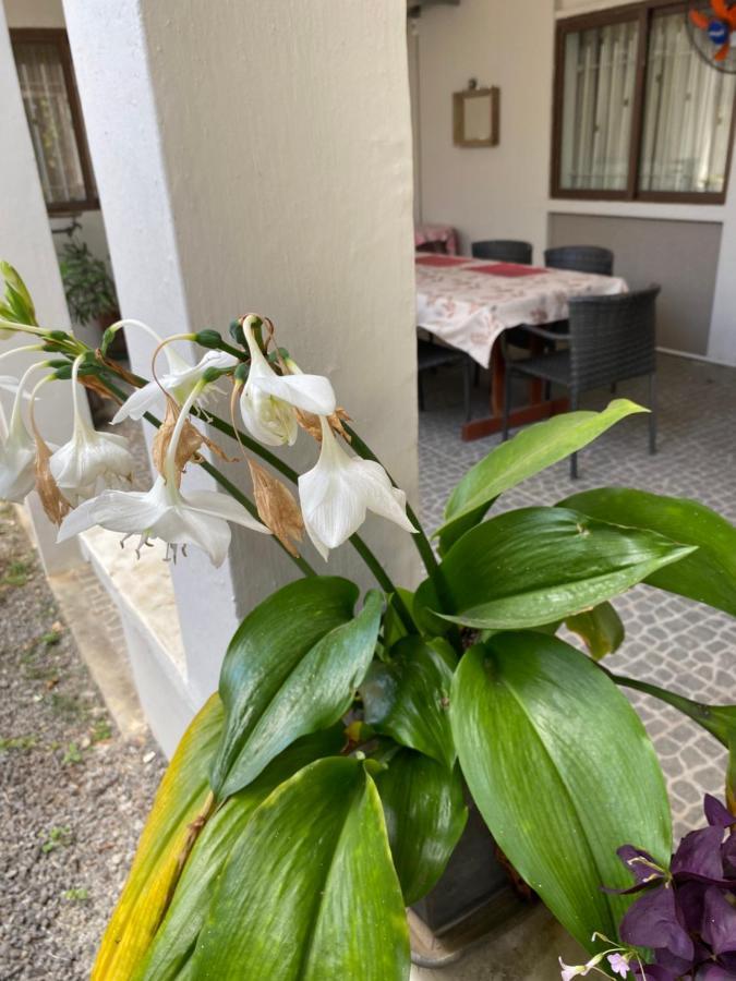 Gardenia Apartments Pereybere Beach エクステリア 写真