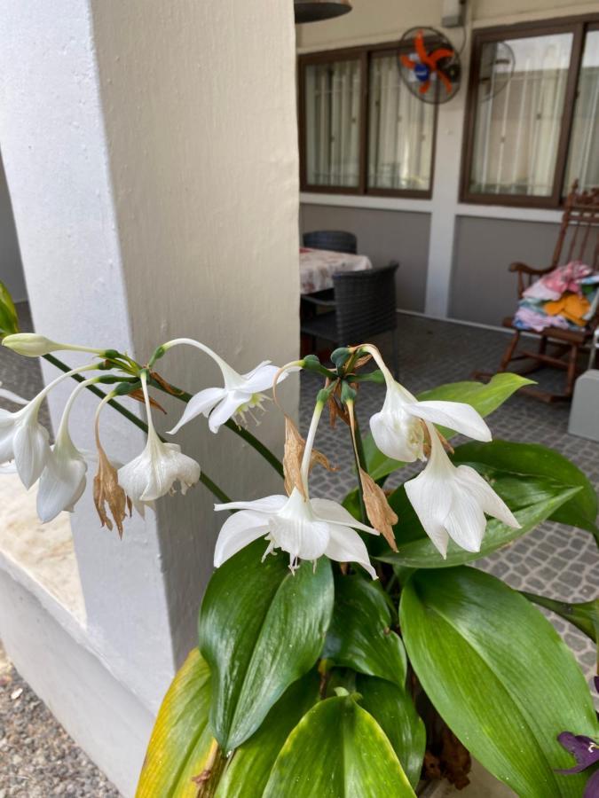 Gardenia Apartments Pereybere Beach エクステリア 写真